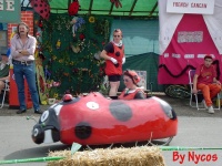 Click to enlarge Coccinella 007.jpg